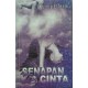 Senapan Cinta