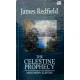 The Celestine Prophecy